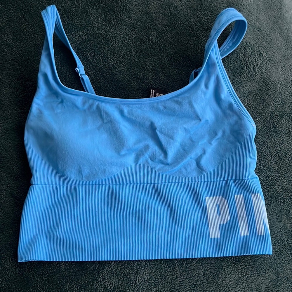 Medium, PINK sports bra in blue.